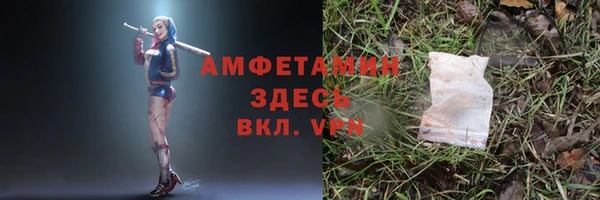 прущие грибы Балахна