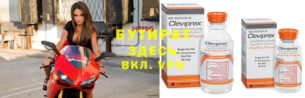 крисы Баксан