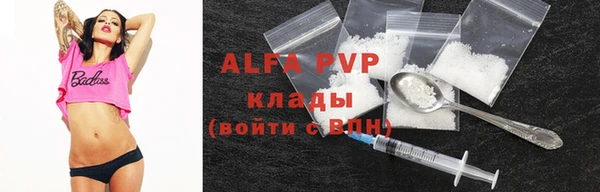 крисы Баксан
