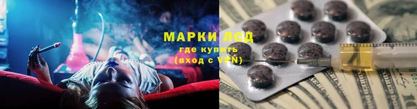 прущие грибы Балахна