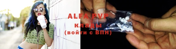 крисы Баксан