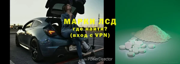 прущие грибы Балахна