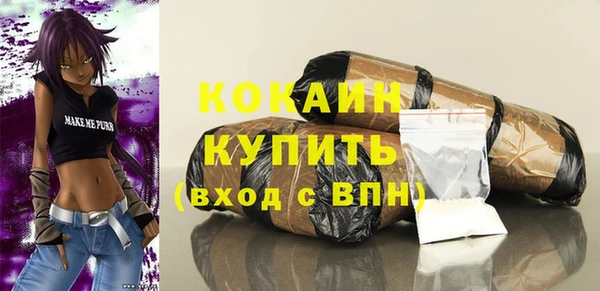 крисы Баксан