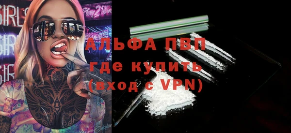 крисы Баксан