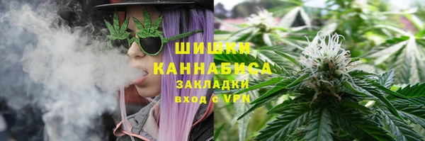 прущие грибы Балахна