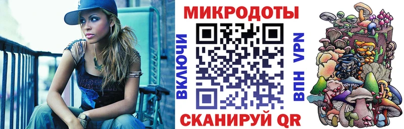 Псилоцибиновые грибы Psilocybine cubensis  Североуральск 